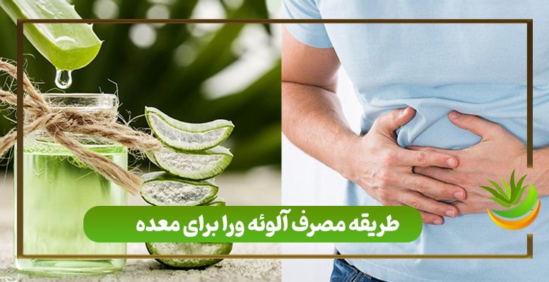 طریقه مصرف آلوئه ورا برای معده