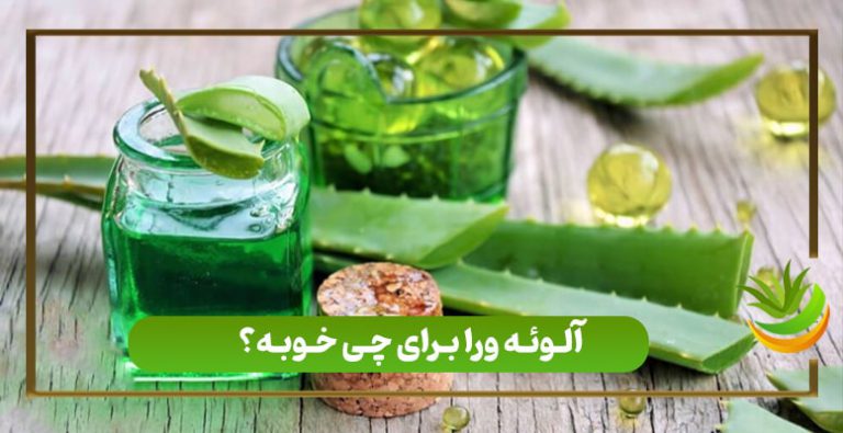 آلوئه ورا برای چی خوبه